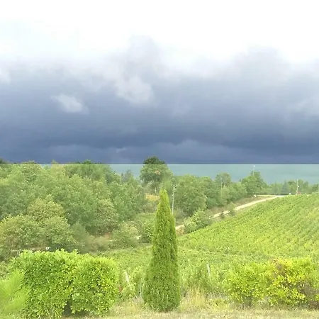 Holiday home Le Triangle D'or Gaillac