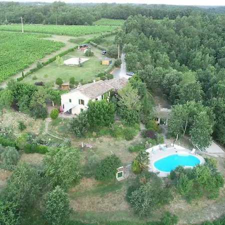 Le Triangle D'or Gaillac