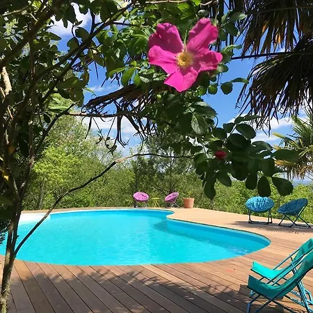Holiday home Le Triangle D'or Gaillac